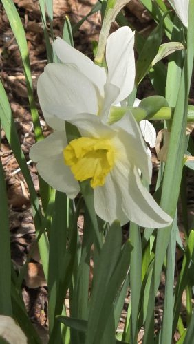 20250429 HikeParsonsPreserve 6