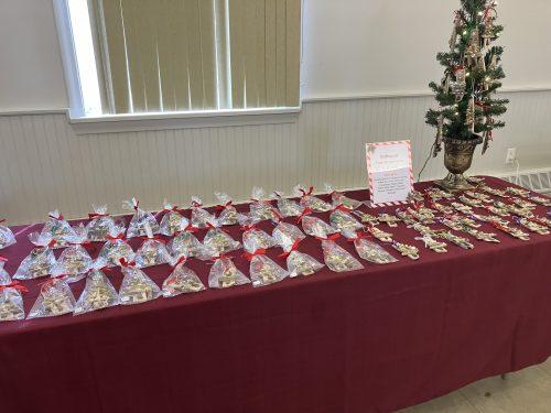 2023-holly-fair-driftwood-trees