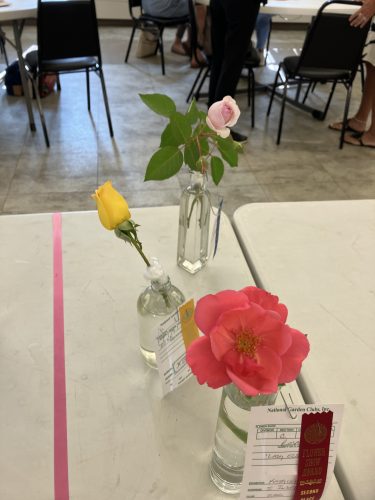 2024-horticultural-show-2024-6