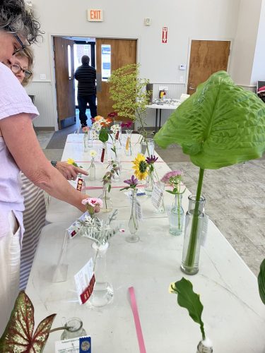 2024-horticultural-show-5