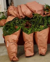 2021-holly-fair-greens-bundles